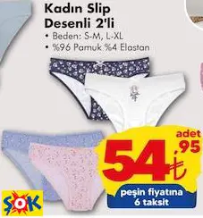 KADIN SLİP KÜLOT DESENLİ 2'Lİ